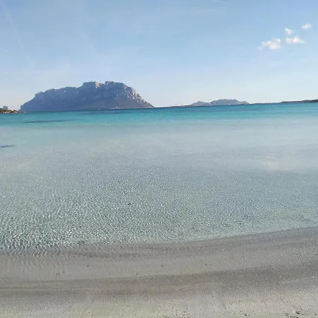 Aria Di Vacanza - Diamante Murta Maria